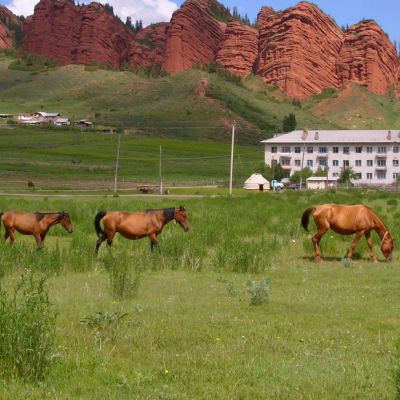 Dans le pays des chevaux légendaires 13 jours