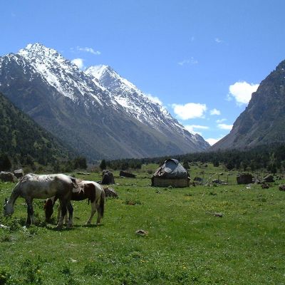 Cime bianche e minareti blu 15 giorni