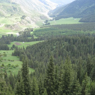   Tesori Verdi di Via della Seta 13 giorni